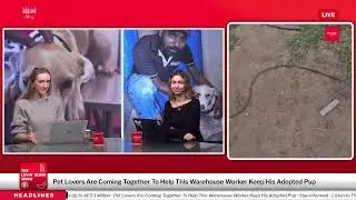 The Lovin Dubai Show: Gaza&rsquo;s Spirit, UAE Sugar Tax, E-Fraud Penalties, and Pet Lovers Helping Worker
