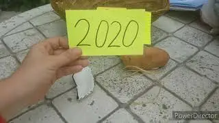 Letter sound sorting