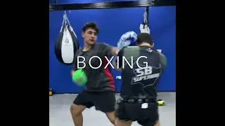 Introducing Wolves Zone MMA Academy