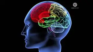 A rare brain disease