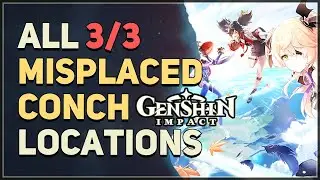 All 3 Misplaced Conch Locations Genshin Impact