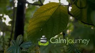 Calm Journey Therapy 4k - 2022