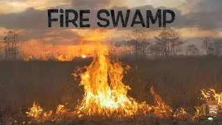 Fire Swamp