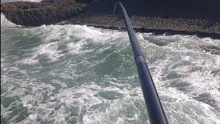 Mancing Baronang lingkis power spot arus deras