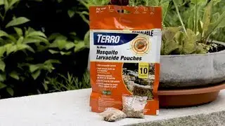 Stop Mosquitoes from Breeding with TERRO Mosquito Larvacide Pouches