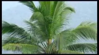 Viswasathil.. Lyrics-johnson chuzhana-music-binoy mavelikara-singer-jameson samuel.2013