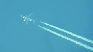 Airbus A 330-223 TAP PORTUGAL (star alliance