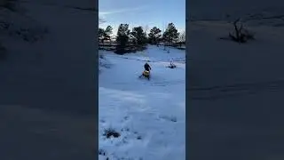 05 skidoo rev 600