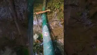#youtube #freefire #trending #nature #viral #bokacomedy #fishing #fish #vlog #music #1v1 #funny #1k