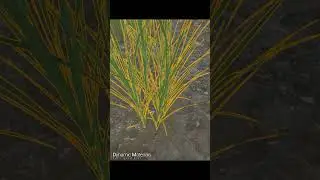 Procedural World Generator - FEATURES /  #pcgaming #ue5 #unrealengine #gamedev #pcg