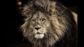 BEST Motivational Speech Video 2021. A Must Watch Inspirational Motivation Personal Growth Speech.