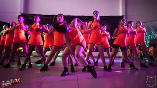 CAMPEONATO DE REGGAETON FEST / REGGAETON VIBES