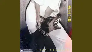 Dog Flow