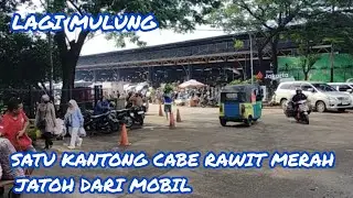 DI KAGET KAN SATU KANTONG CABE RAWIT JATOH DARI MOBIL 🧐😱😱🙈