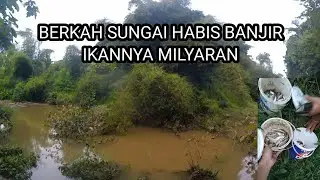 ASIKNYA MANCING IKAN LUKAS BANDENG AIR TAWAR || MIKRO FISHING || UMPAN JITU LEGENDARIS