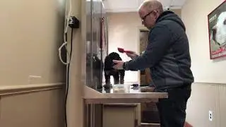 How to groom an aggressive dog. How to counter condition grooming tools.
