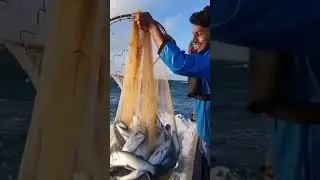 ঢেউ যত ভয়ংকর, মাছ ধরা তত রোমাঞ্চকর 🐟⚡#SeaAdventure #BigWave #FishingVibes #ShortVideo