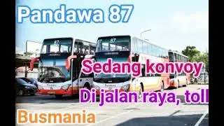 Konvoi bus Pandawa 87 dari Jawa Timur menuju Jakarta . #busmania #basuri 