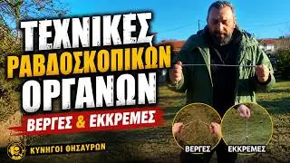 ΤΕΧΝΙΚΕΣ ΡΑΒΔΟΣΚΟΠΙΚΩΝ ΟΡΓΑΝΩΝ - ΒΕΡΓΕΣ & ΕΚΚΡΕΜΕΣ