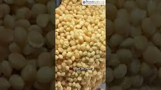Panipuri Fryer Machine | Bullet Fryer Panipuri Machine Live Demo | Panipuri Cutting Machine