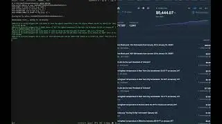 Polymarket Copy Trading Bot/Arbitrage Bot