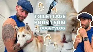Le toilettage de Tsuki