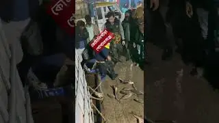 Auf dem Fischmarkt in Kotalipara, Gopalganj