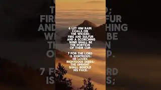 Psalms 11 & 12 Calming Female Voice Read Aloud #biblereadaloud #dailypsalm #audiobible