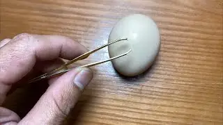 RAW EGG PEELING LIVE