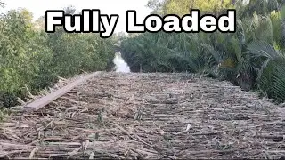 Heavy Sugarcane Boat Stuck in a Narrow Shallow Canal | Slow & Tense River Journey