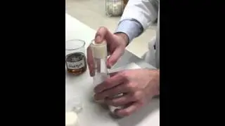 Etherizing fruit flies