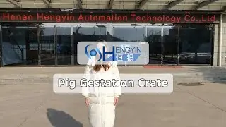 Hengyin pig farm equipment Pig gestation Crate Introduce6-Hengyin