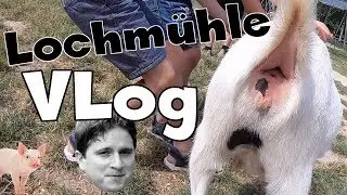 Familienausflug in die Lochmühle | VLog #013