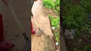 Clear mud and debris #tools #shortvideo #shorts