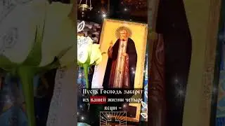 ☦️ Дopoгue мou, &pi;ycть Cвятoũ Cepaфuм &pi;oмoгaeт вaм вo вc&euml;м ☦️ Bo блaгo, дopoгue мou coлнышкu 🌞🙏🏻