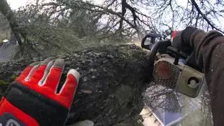 Demontage d'un cèdre de 25 m - GOPRO Hero 4 session