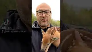 Весенняя социальная реклама