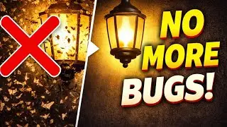 Simple Trick to Keep Bugs Away From Your Porch Light (Works 100%)