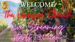 The Vineyard Church Live! - 17th Sunday after Trinity, 01Oct2023.
