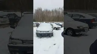 Пежо 605, старый бизнес-класс... конфискат #pro100dima #автоконфискатбрест #про100дима