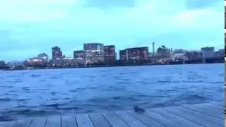 Charles River Esplanade, Boston