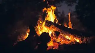 Тепло и дым: 95 сек костра в лесу. Уютные звуки огня для сна и учебы
