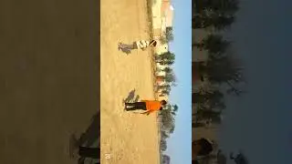Mini vlog for kid's 