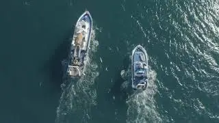 Chimica ambientale - Campionamento del sedimento