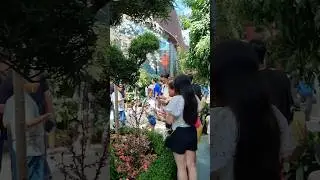 A beautiful flowers Garden tourist attraction #garden #gardentour #flowers #youtubeshorts #flower