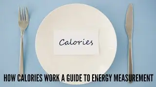 How Calories Work A Guide to Energy Measurement