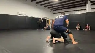 John White Vs Mauricio