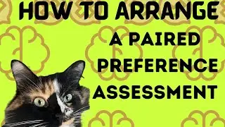 How to Preference Test Reinforcers for Training