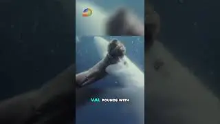 Diver's Shark Fight: Intense Underwater Struggle for Survival!