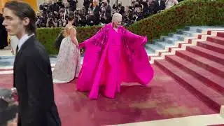 Glenn Close arrives at The 2022 Met Gala - 4k!
